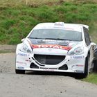 Peugeot 208 T16 R5 