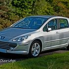 Peugeot 307 Sport