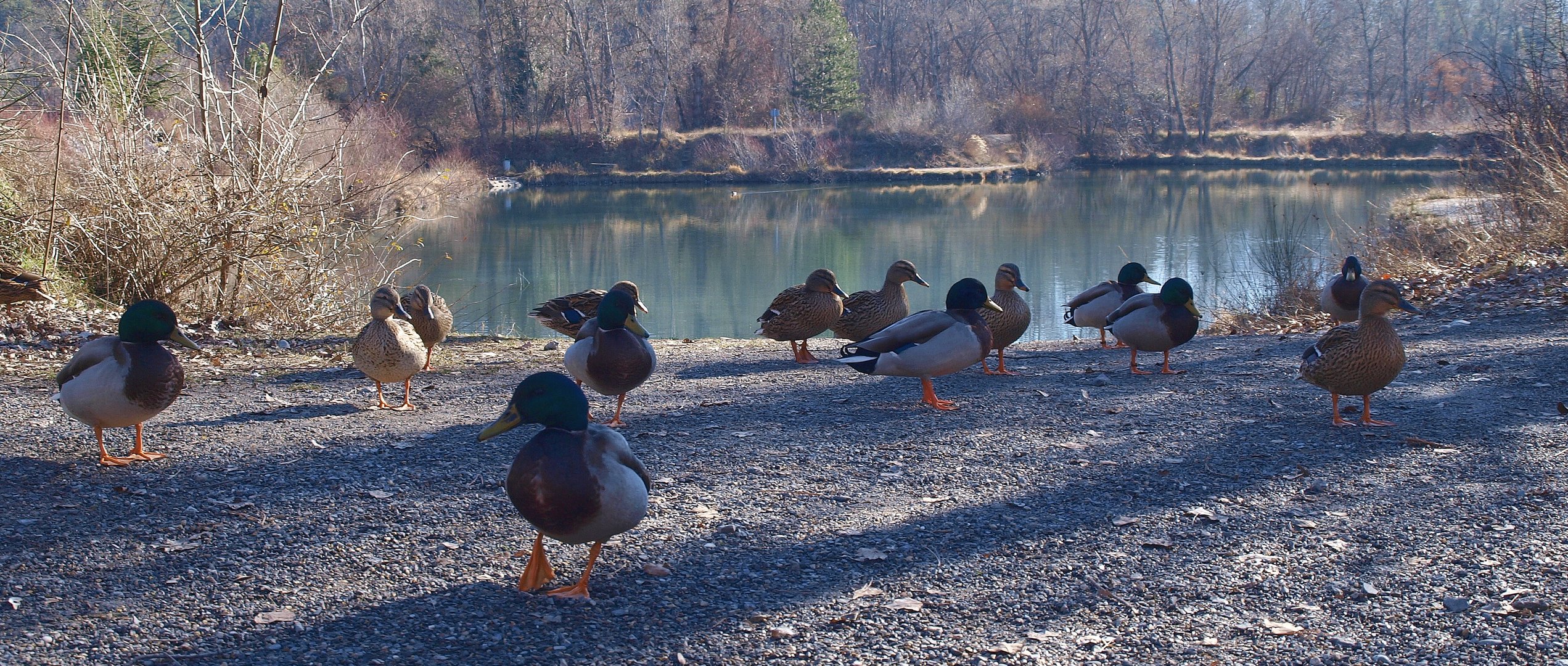 Peuple du Lac