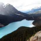 peyto