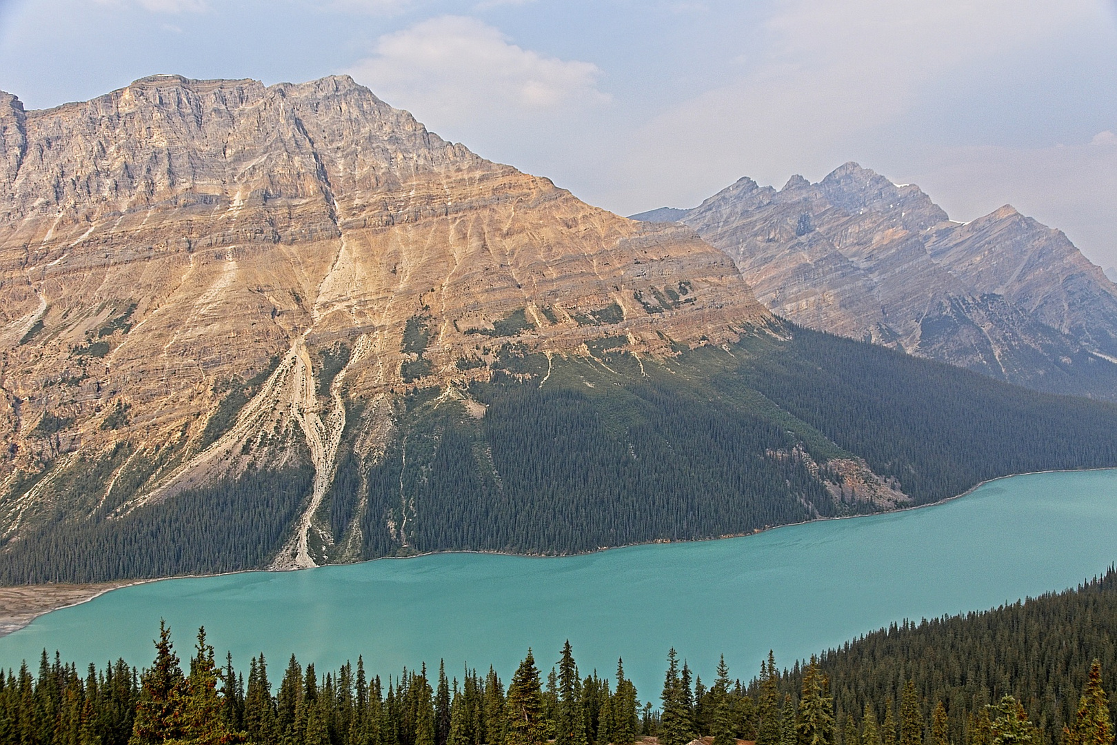 Peyto Glacier