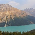 Peyto Glacier