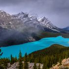 Peyto Lake 2, Icefields Parkway, Kanada