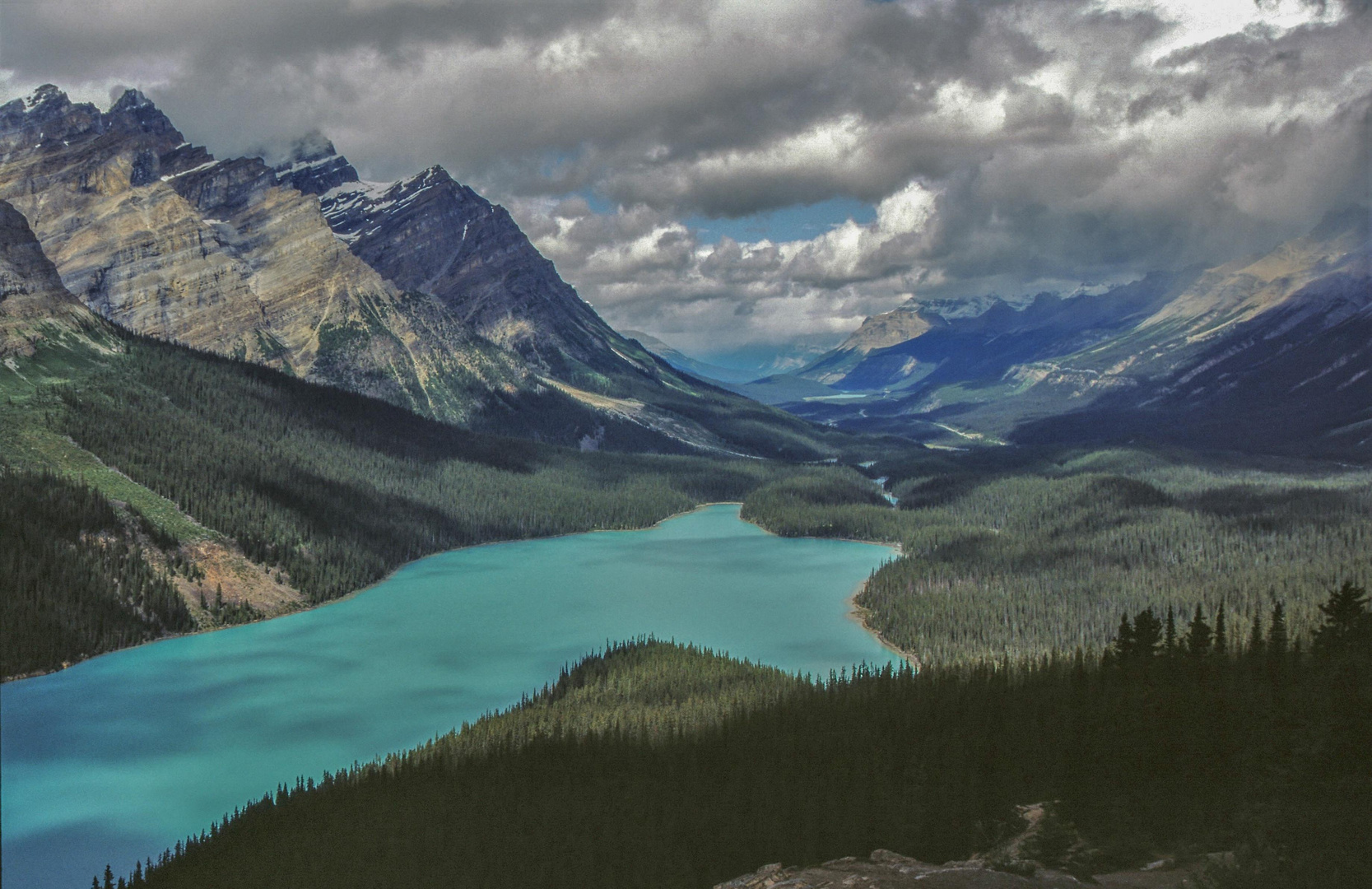 Peyto Lake