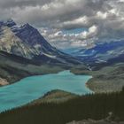 Peyto Lake