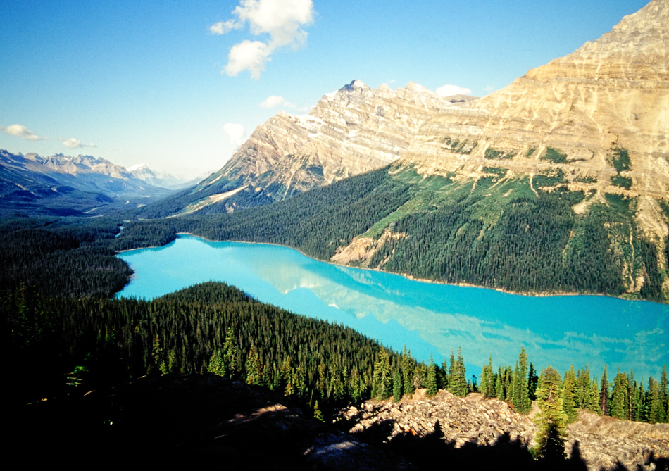 Peyto Lake