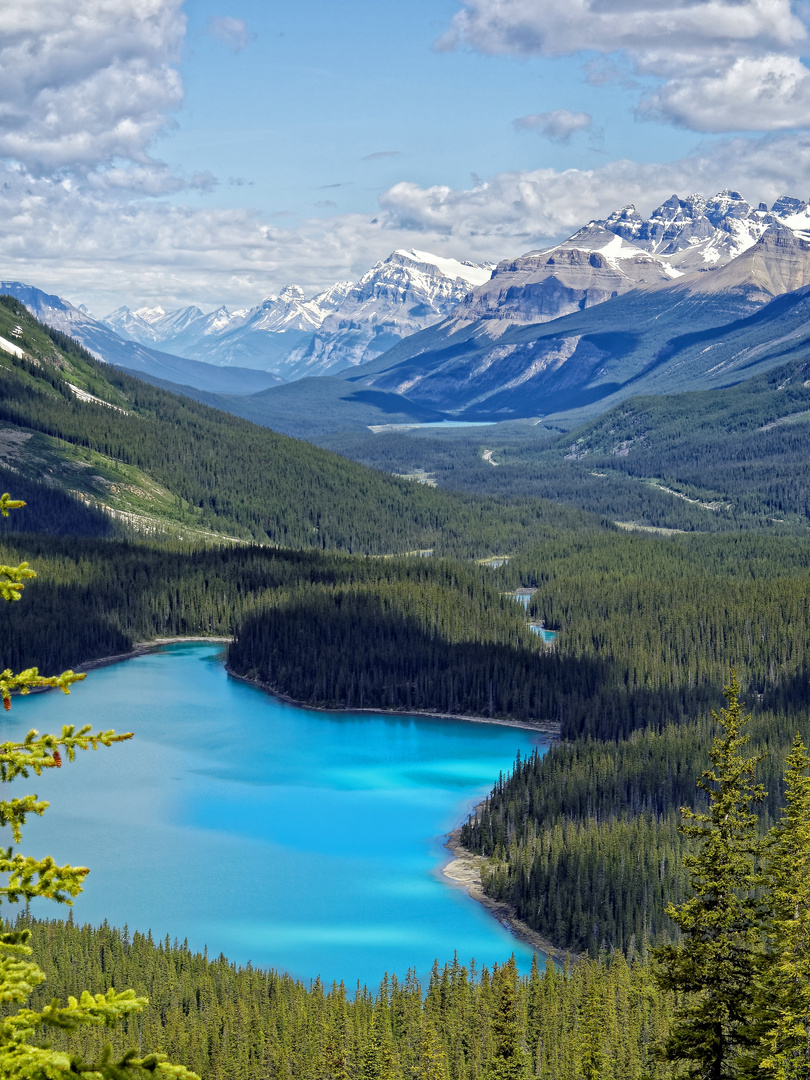 Peyto Lake