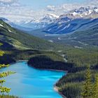 Peyto Lake