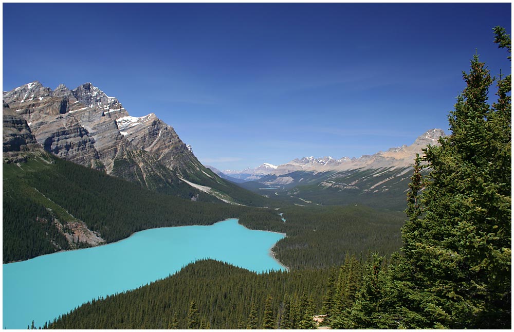 Peyto Lake