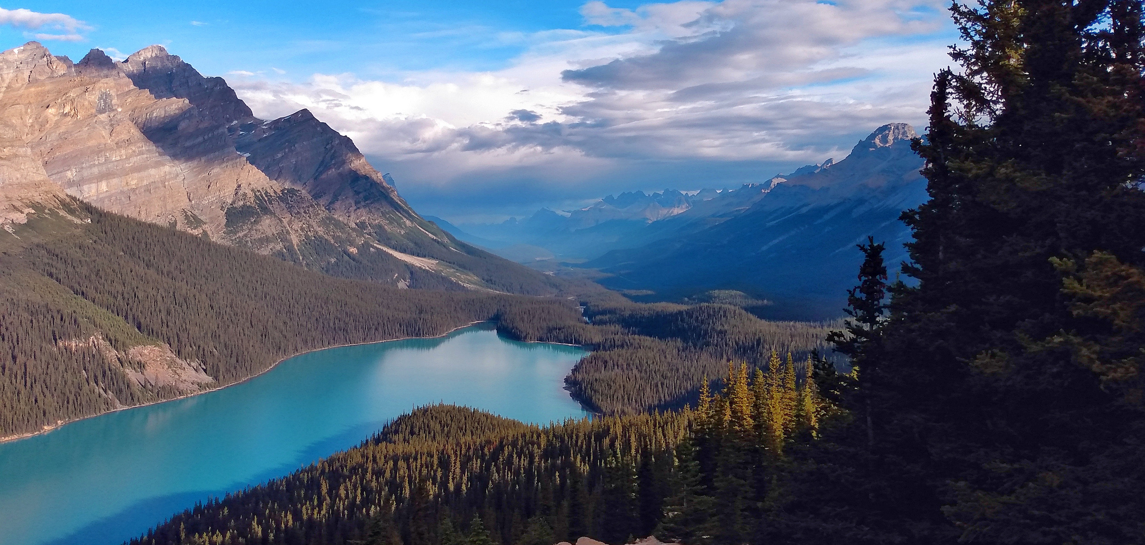 Peyto lake