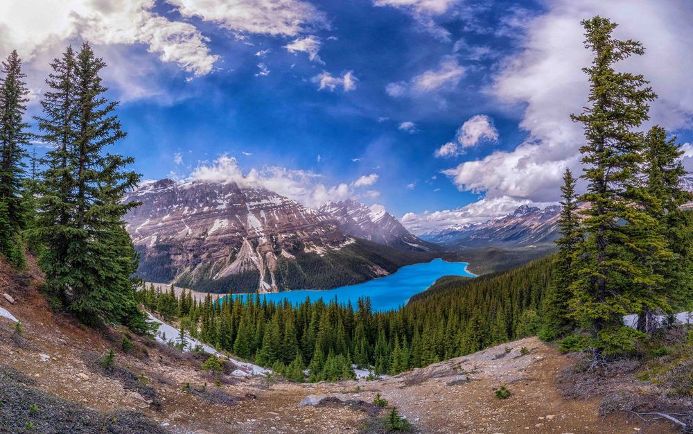 Peyto Lake