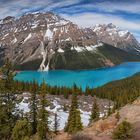 Peyto Lake 