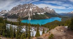 Peyto Lake 