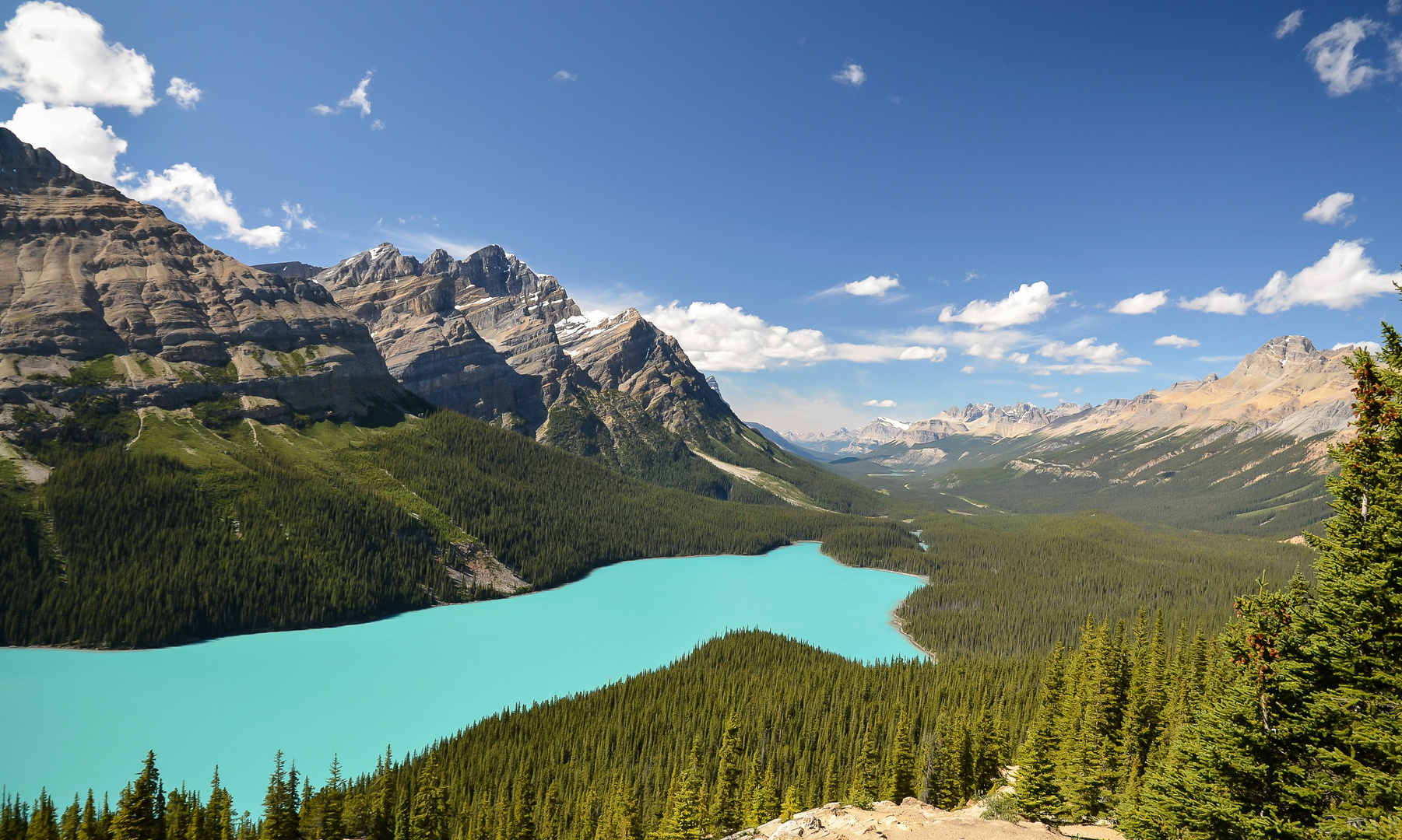 Peyto Lake