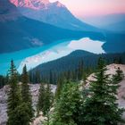 peyto lake