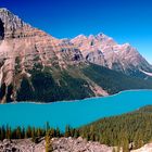 Peyto Lake