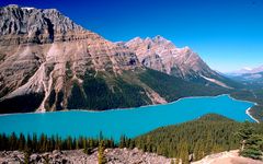 Peyto Lake