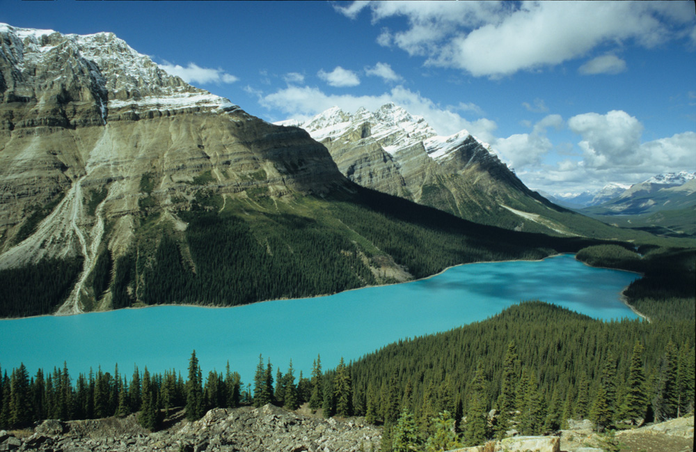 Peyto-Lake