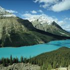 Peyto-Lake