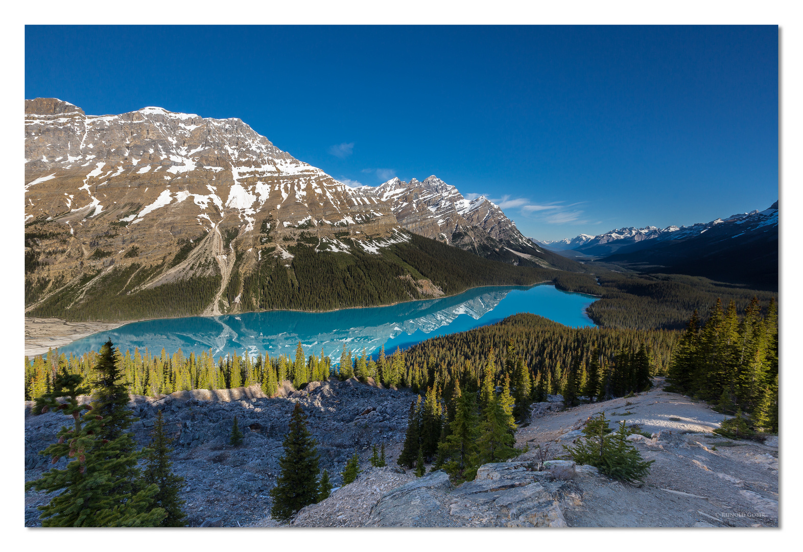 Peyto Lake / Alberta / Canada