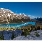 Peyto Lake / Alberta / Canada