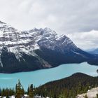 Peyto Lake am Lake Louis Canada BC