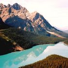 peyto lake am morgen