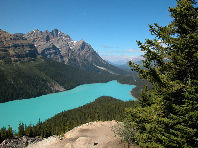 Peyto Lake