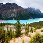 [ Peyto Lake ]