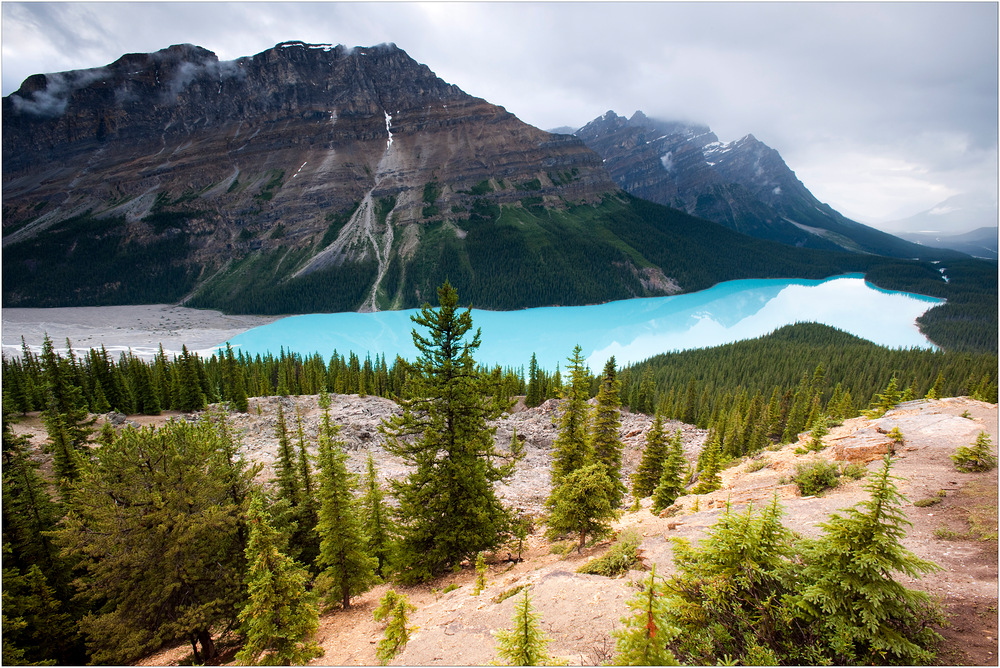 [ Peyto Lake ]