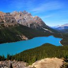 Peyto Lake - Banff Nationalpark