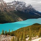 Peyto Lake @Banff NP