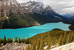 Peyto Lake @Banff NP