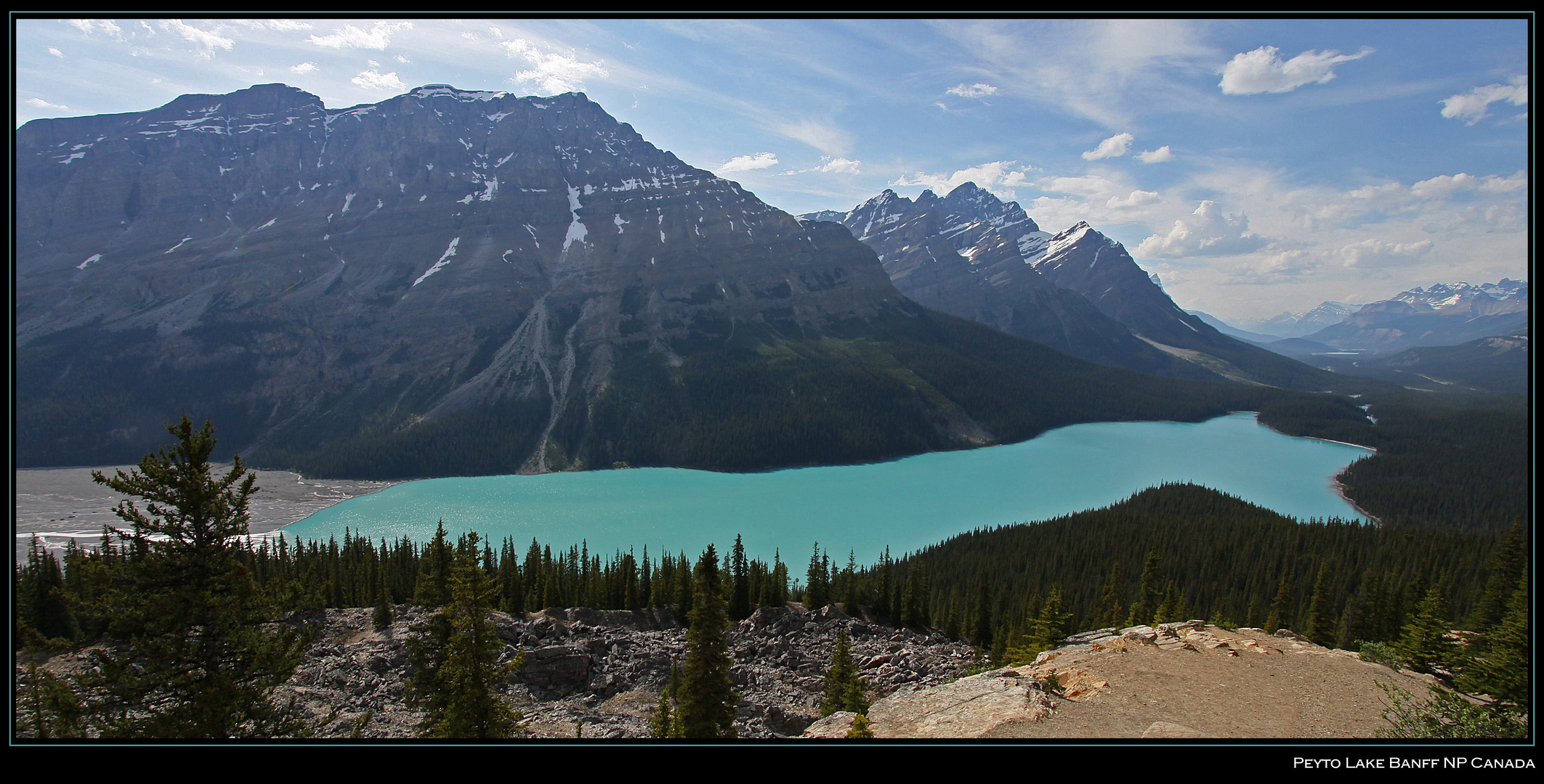 Peyto Lake Banff NP