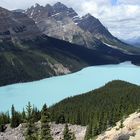 Peyto Lake Banff NP, Kanada