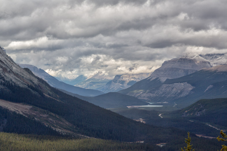 Peyto Lake Blick nach Norden