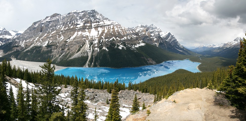 Peyto Lake - Bow Summit