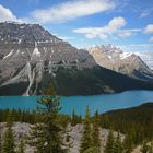 Peyto Lake - British Columbia