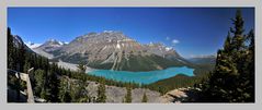 Peyto Lake