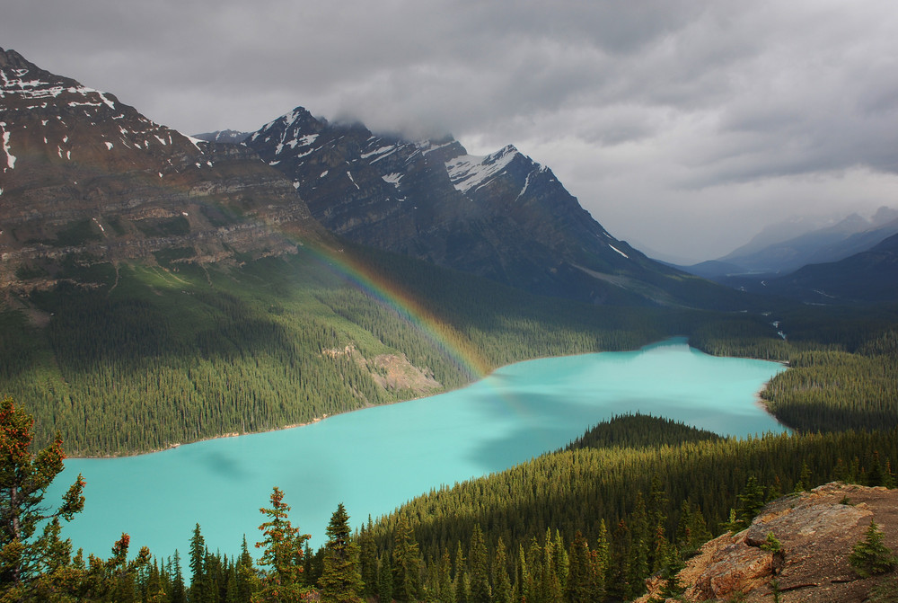 Peyto Lake Canada