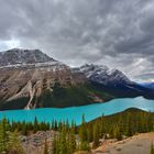 Peyto Lake