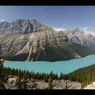 [ Peyto Lake ]