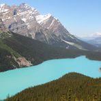 Peyto Lake - das wohl am meisten fotografierte und gezeigte Motiv der Kanandischen Rocky Mountains