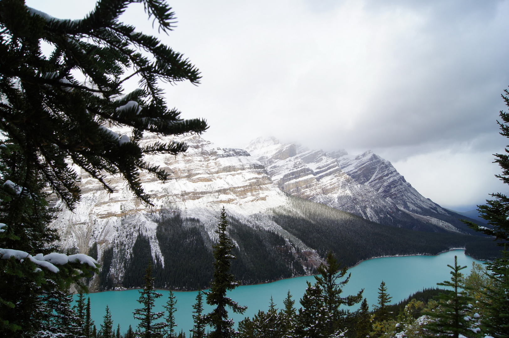 Peyto Lake