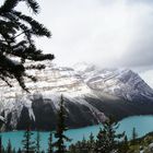 Peyto Lake