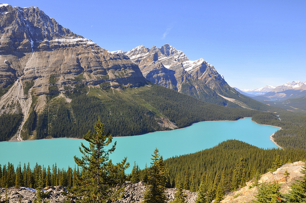 Peyto Lake