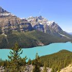 Peyto Lake