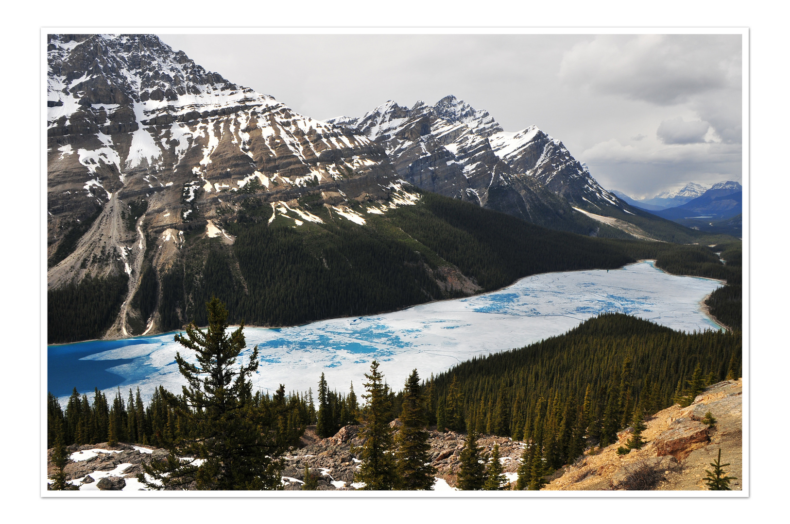 Peyto Lake