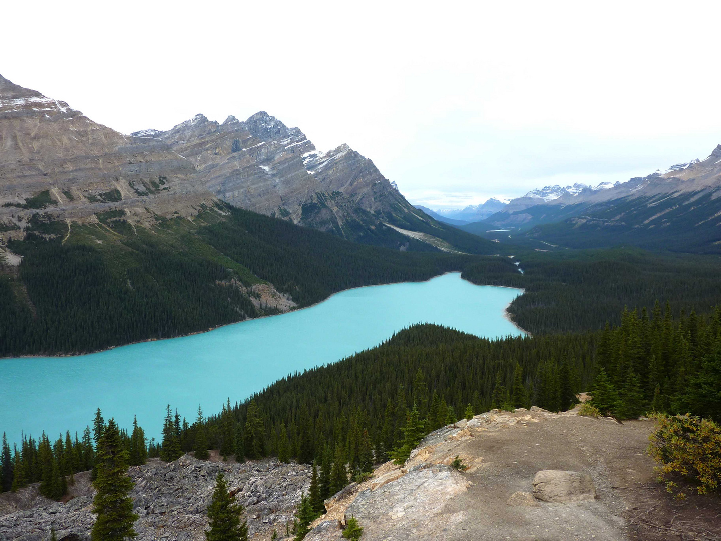 Peyto Lake