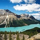 Peyto Lake